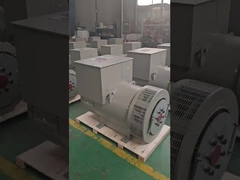 Classe H 10-1000 KW gerador de corrente alternada sem escovas de 3 fases Premium