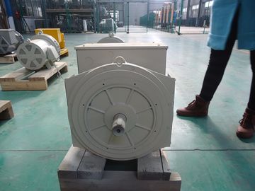 comprar 110V ~ alternador dobro sem escova síncrono 40kw/50kva do rolamento 690V online manufacture