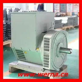 Classe de isolamento H Voltagem nominal 220V Gerador AC de fase única