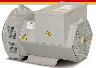 Alternadores sem escova elétricos